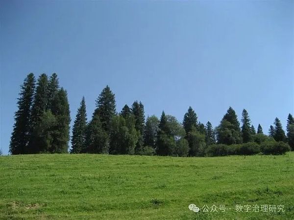 美联储主席宝座争夺战：11位重量级选手的权力的游戏