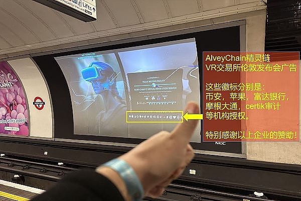 科技巨头撑起的美国股市：繁荣背后暗藏危机