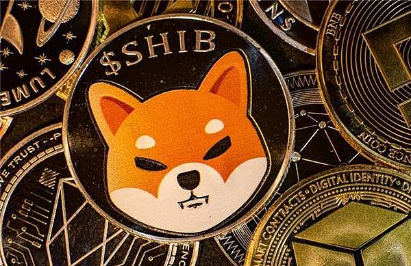 L2生态大战：硝烟弥漫中的投资机会与开发选择