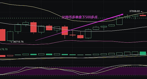 玩转数字资产：老手教你搭配比特币与山寨币的秘诀