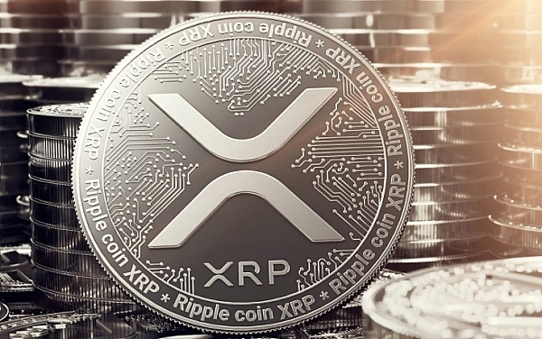 2000%暴涨神话：Kaspa矿币如何玩转这场加密淘金热？