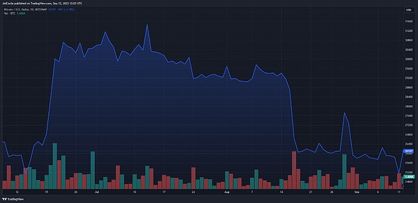 比特币铭文江湖：如何在眼花缭乱的新协议中找到真金？